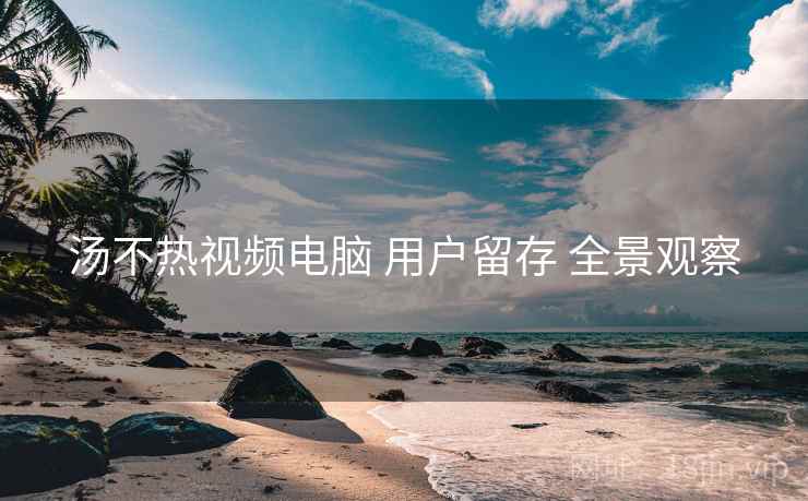 汤不热视频电脑 用户留存 全景观察  第1张