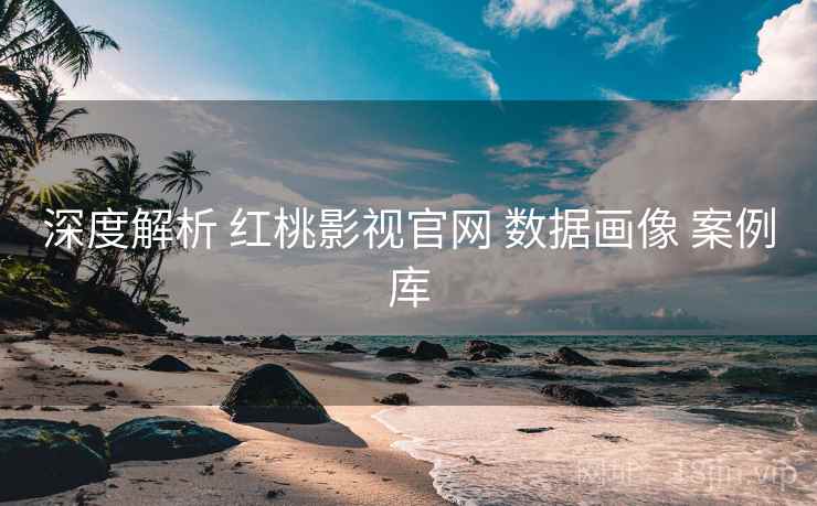 深度解析 红桃影视官网 数据画像 案例库  第2张
